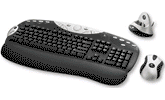 Logitech Cordless MX Duo 